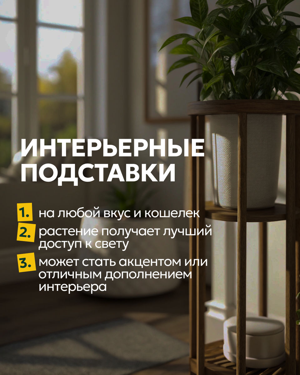 варианты размещения растений в интерьере