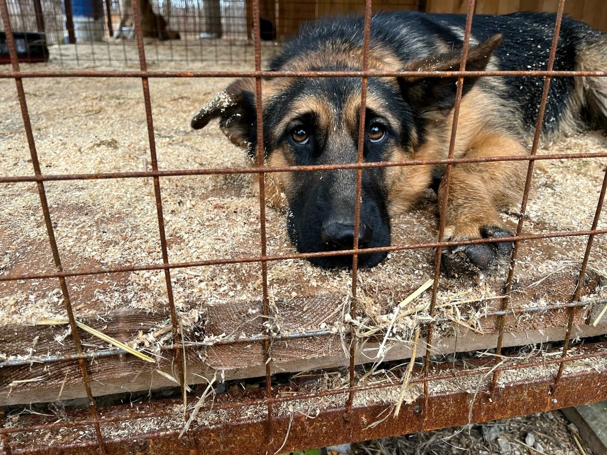 Где же оно, это счастье?