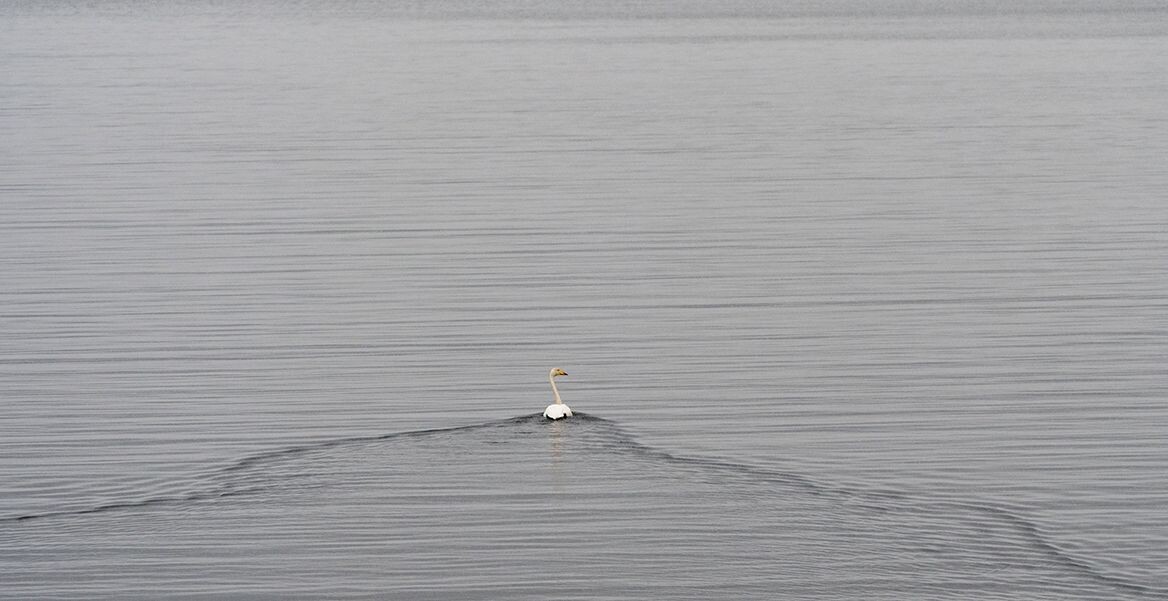    фото: © Игорь Подгорный