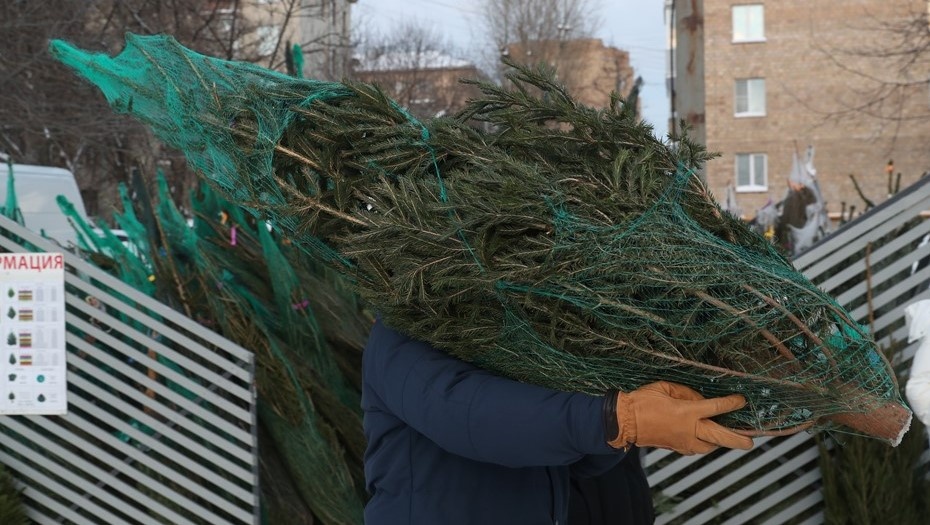 Автор фото: Эдуард Корниенко /  "Известия".