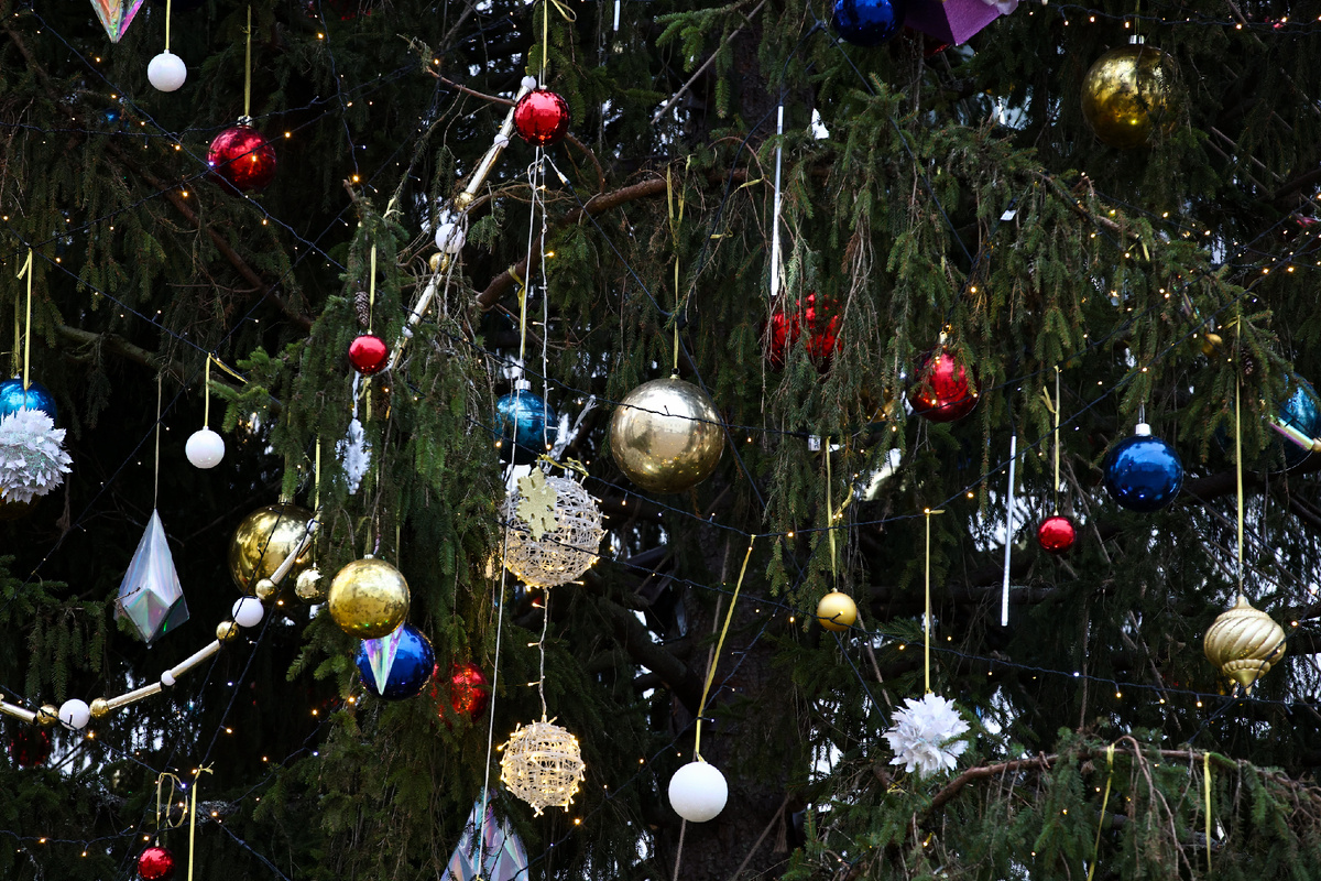 Автор фото: Михаил Терещенко/ТАСС. Главная новогодняя ель Россси на Соборной площади в Кремле. 