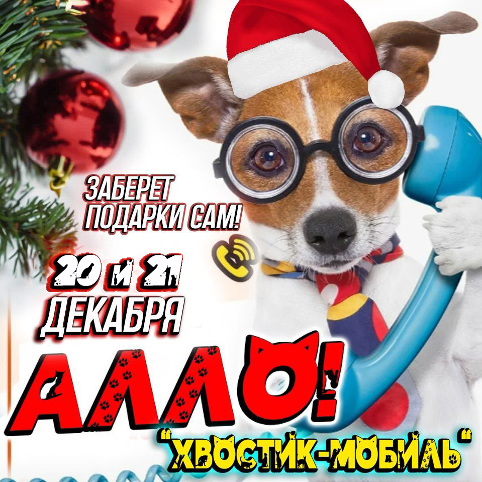 Ждите звоночка в течении сегодняшнего дня, вам обязательно позвонит сотрудник из "Омских хвостиков" !