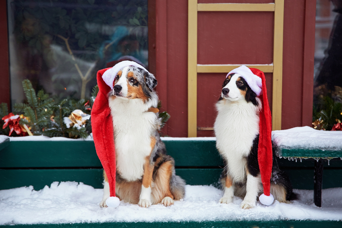 Я тут, кстати, дорасхламлялась и, видимо, по ошибке выкинула коробочку с реквизитом для фотосессий. Больше всего лила слезы по этим колпакам. Но и плюсы тоже были: откопала платье, которое не могла найти больше пяти лет