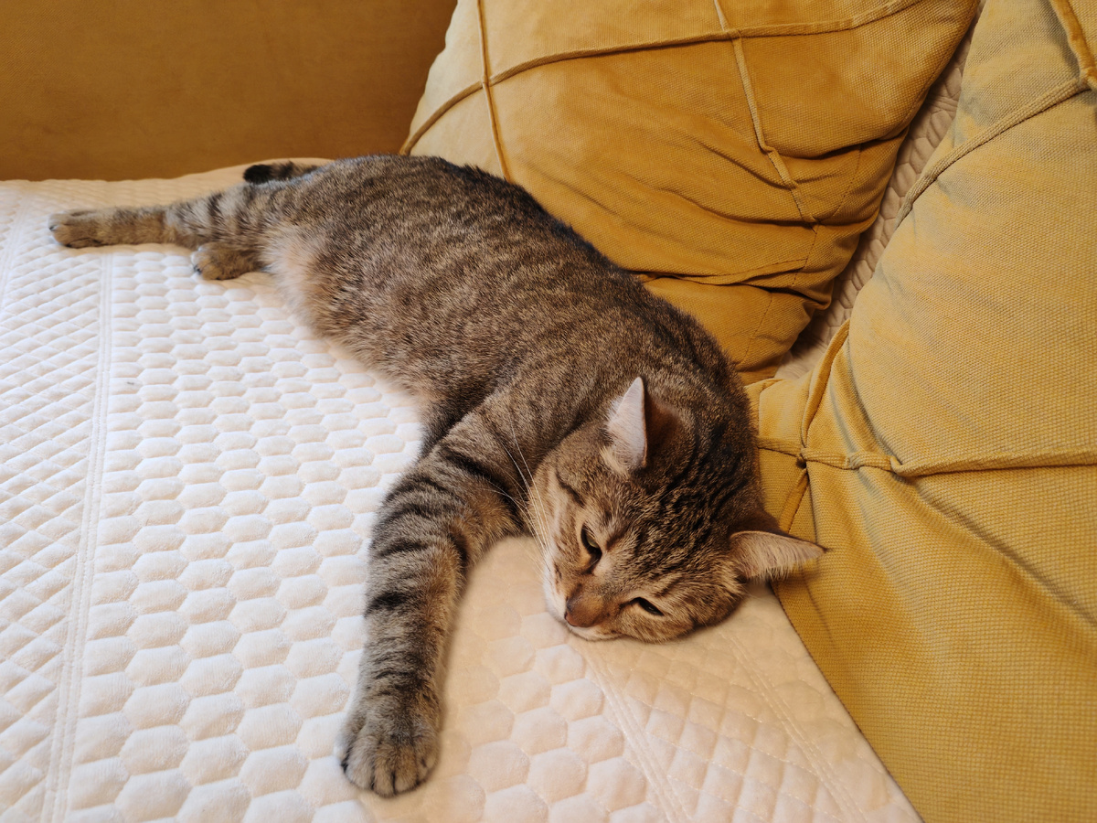 Будьте счастливы!