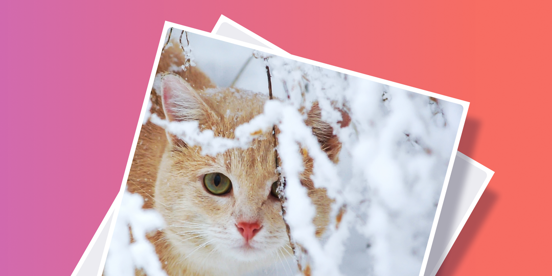 Зимние идиомы