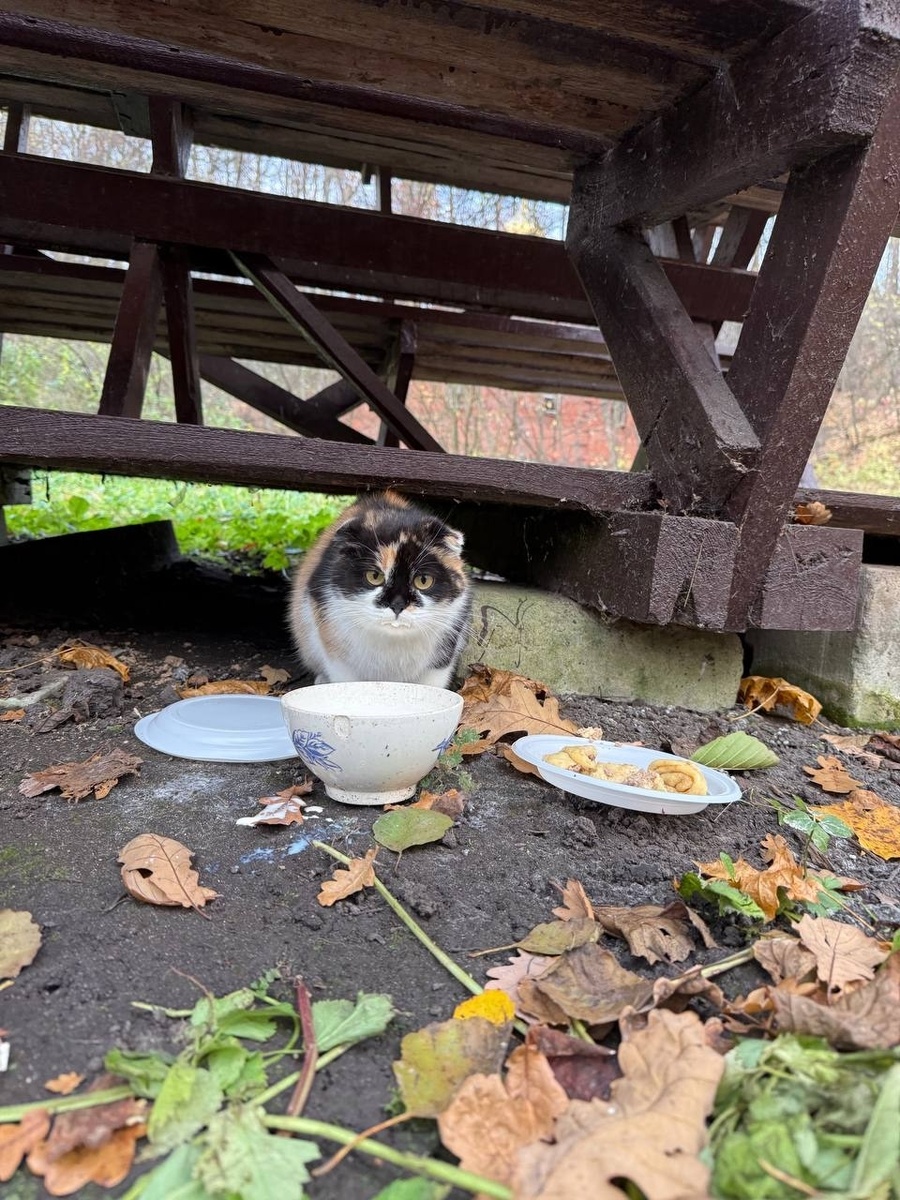 На источнике. Фото из архива автора