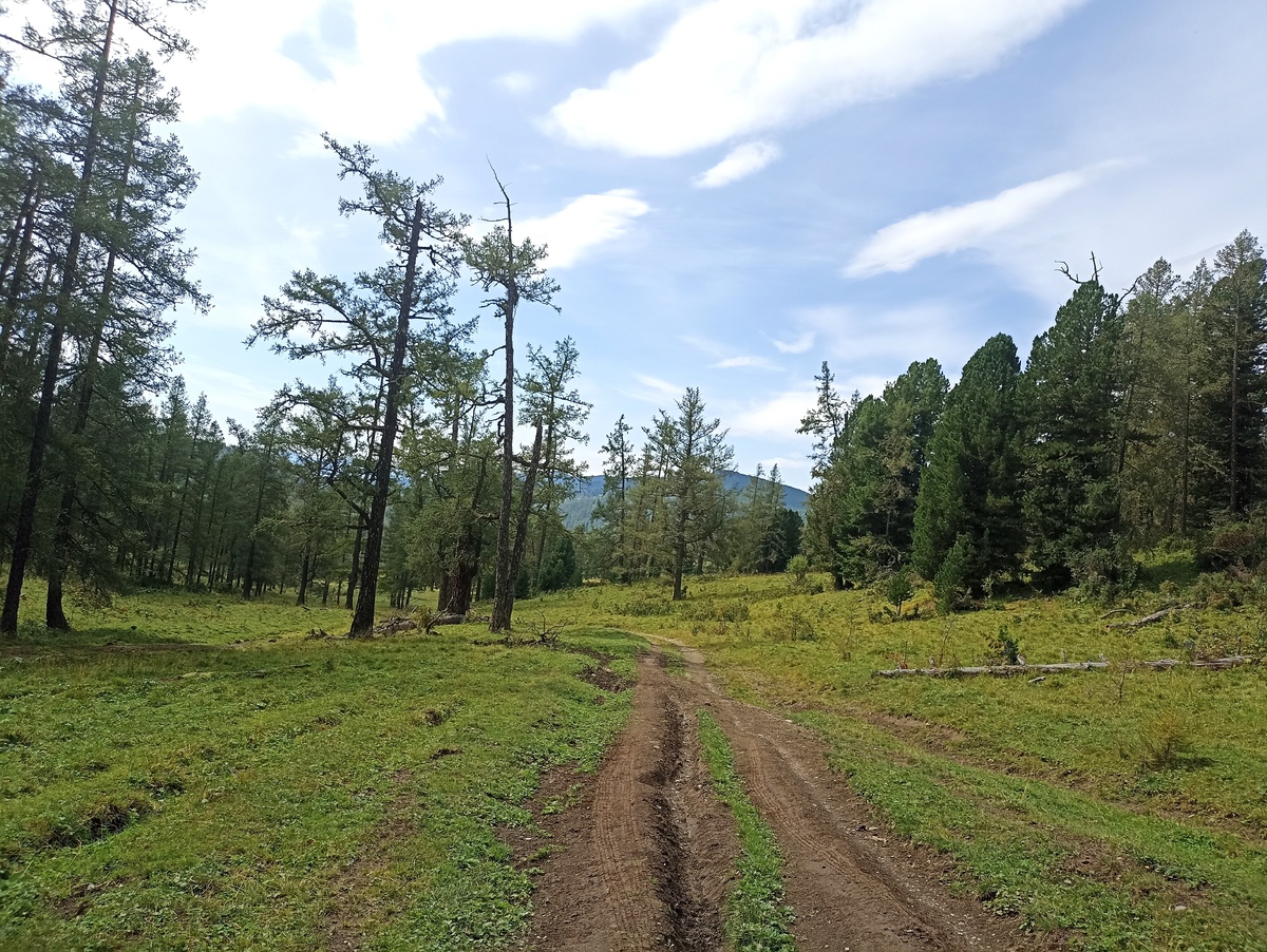 Вот на Ороктойском перевале мне вообще не страшно было, я там просто пешочком шла почти всю дорогу и все