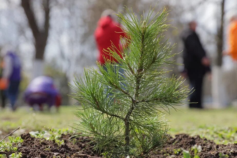   Фото: ТРК «Таврия»