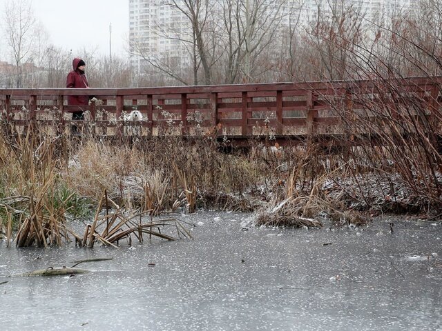    Фото: ТАСС/Гавриил Григоров