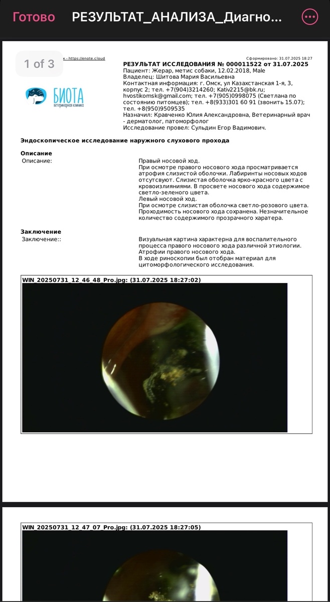 Несколько резултатов обследований и выписок за 2025 год в разных клиниках Омска.