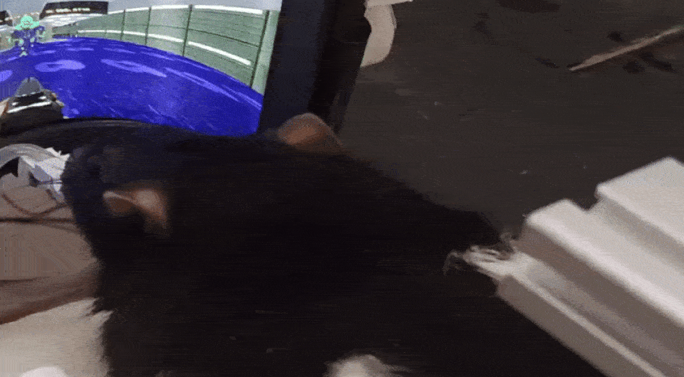   Yolorun Capital / X (Twitter)