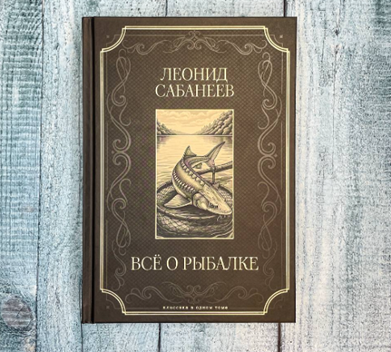 Особенности зимней рыбалки