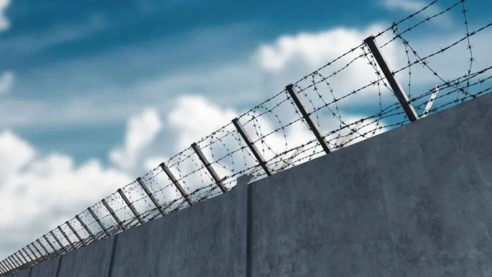    Фото: Marko Aliaksandr/Shutterstock/Fotodom