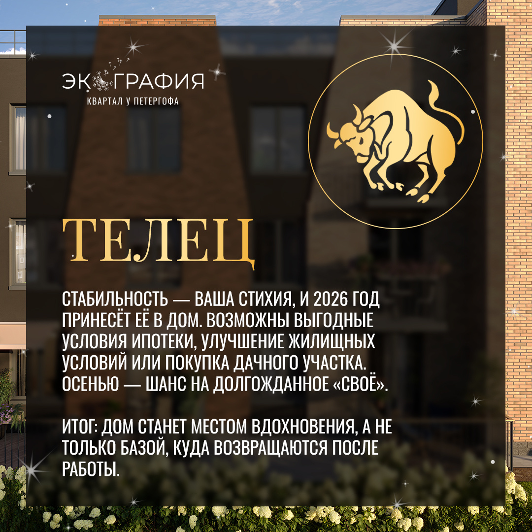 Источник: пресс-служба ГК Охта Групп (ЖК Экография. Квратал у Петергофа)