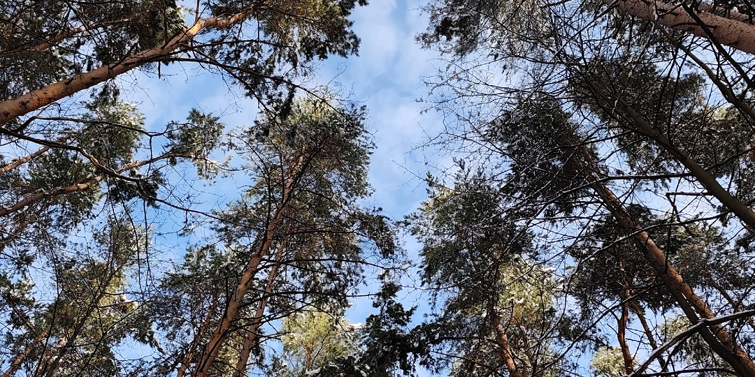 На благо мира и добра