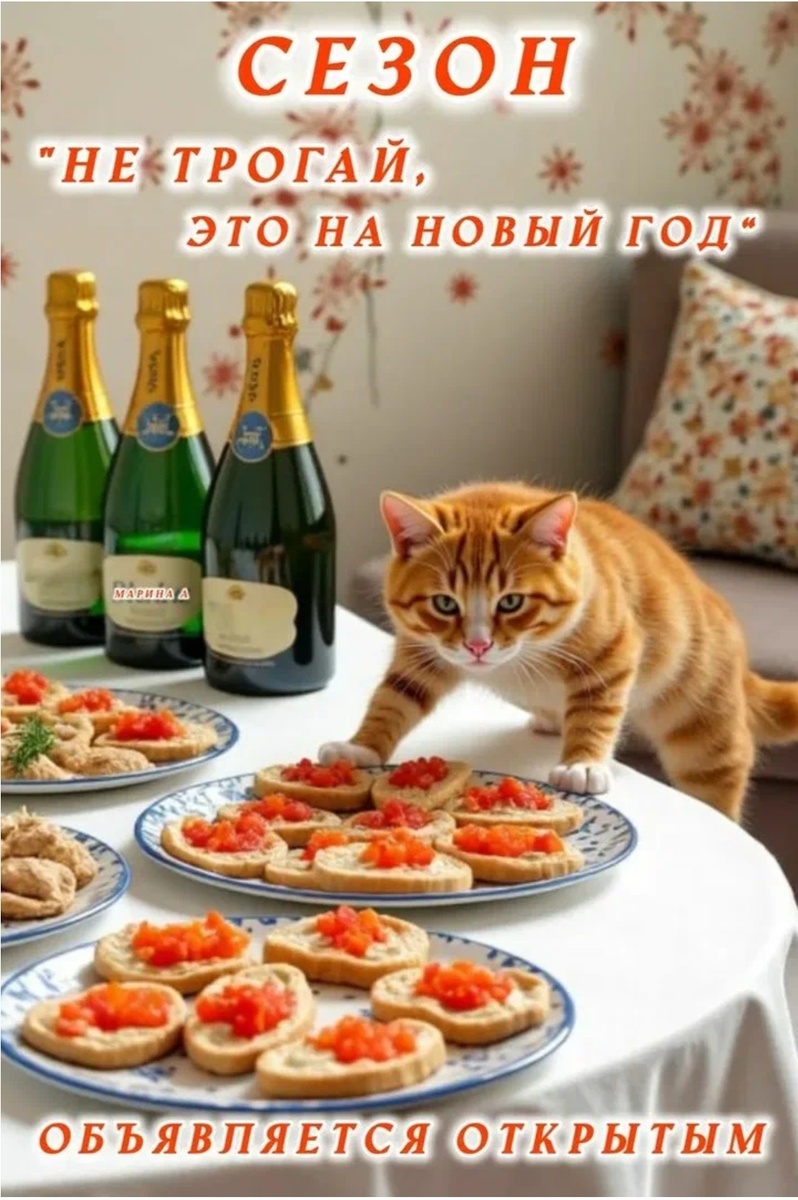 Яндекс-картинки 