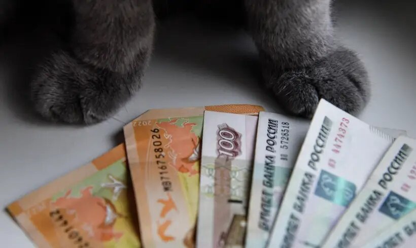     © РИА Новости. Наталья Селиверстова