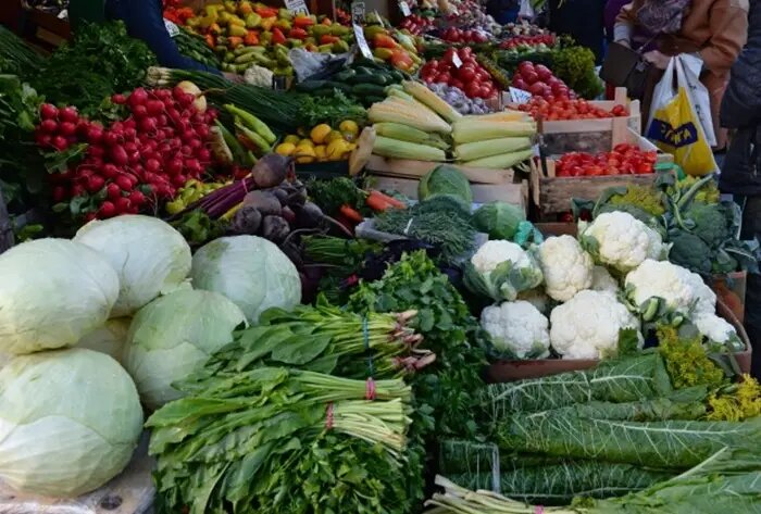    © РИА Новости. Сергей Мамонтов