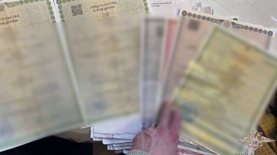 664 несуществующих младенца: в Новосибирске перед судом предстанет банда, совершившая аферу с пособиями на 237 млн рублей