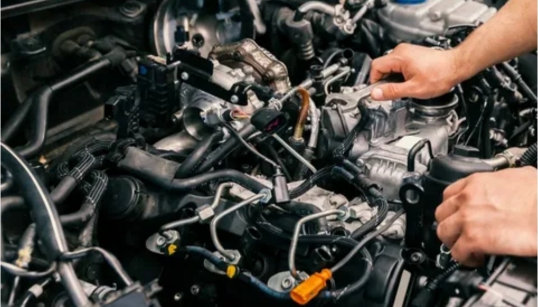 Фото из открытых источников 