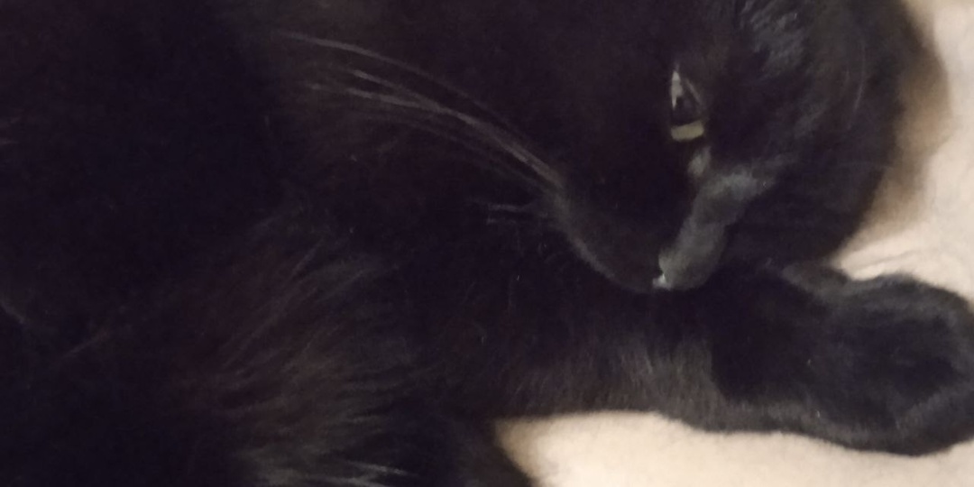 Стасик рассказывает