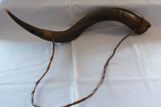Натуральный рог. 