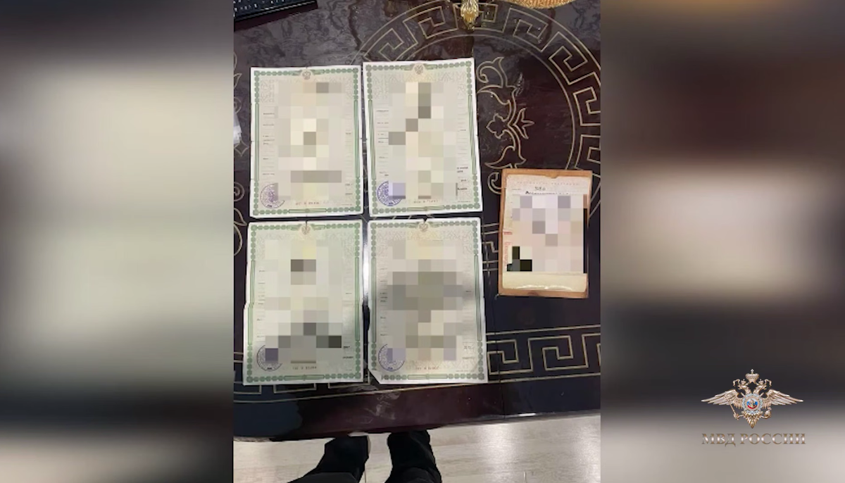     / Источник: © МВД России. Кадр из видео