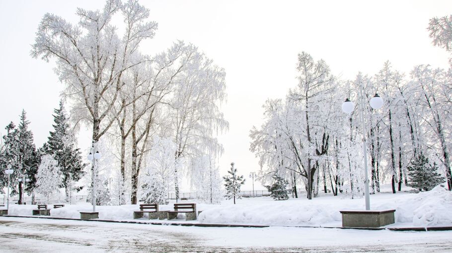 Резкое похолодание до -35 градусов ударит по Алтайскому краю: когда ждать