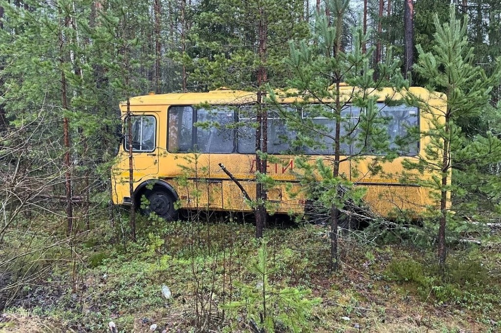    Фото © Telegram / Мегаполис | ДТП и ЧП | Санкт-Петербург | Питер