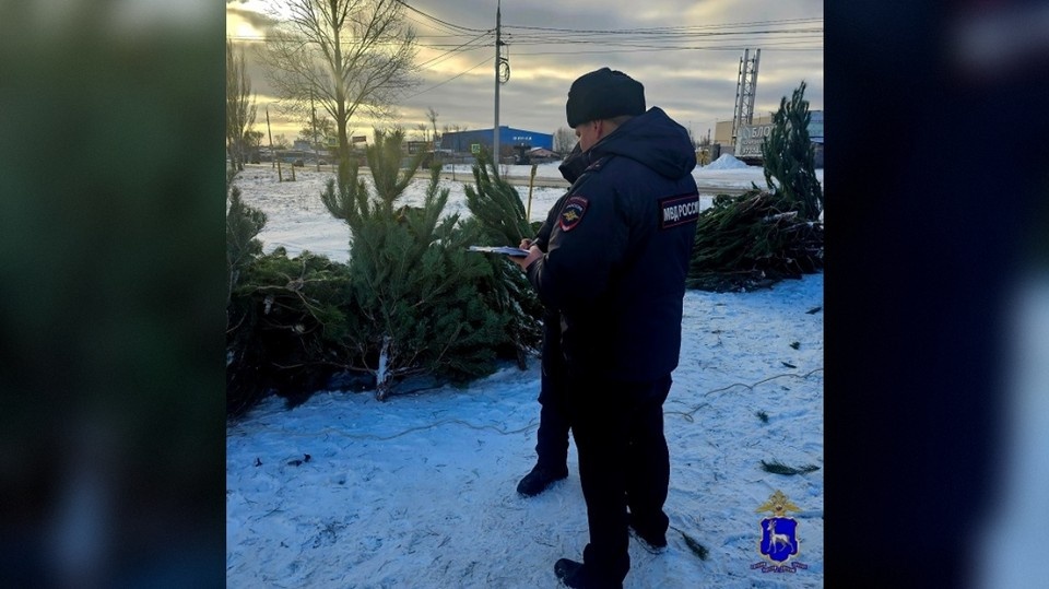    Полицейские выявили торговца-нарушителя в ходе профилактического рейда ГУ МВД России по Самарской области
