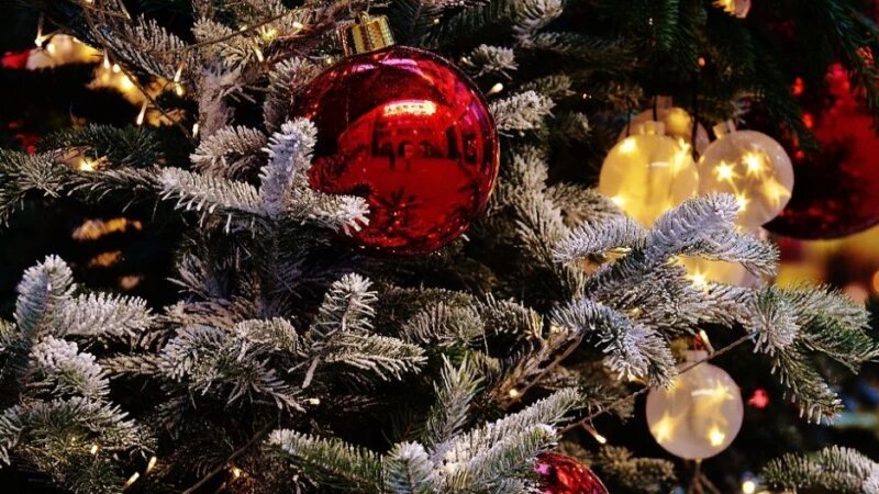     Новый год. Новогодняя елка. СС0