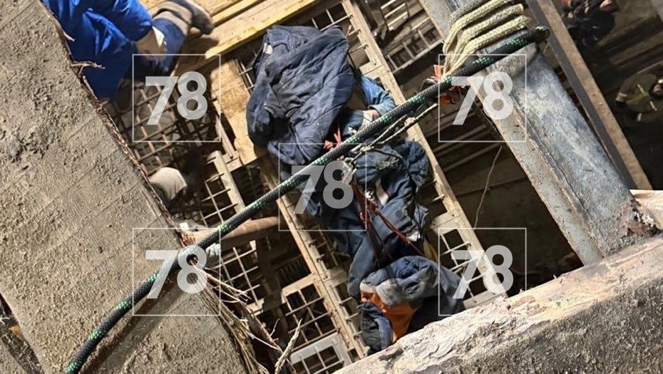 Автор фото: 78.ru