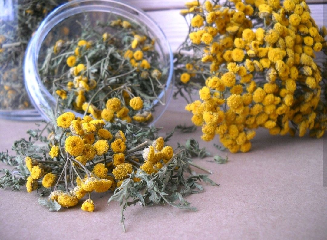 � ���������� ���������