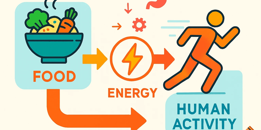 Правда ли, что после 30 метаболизм замедляется и из-за этого растет вес?