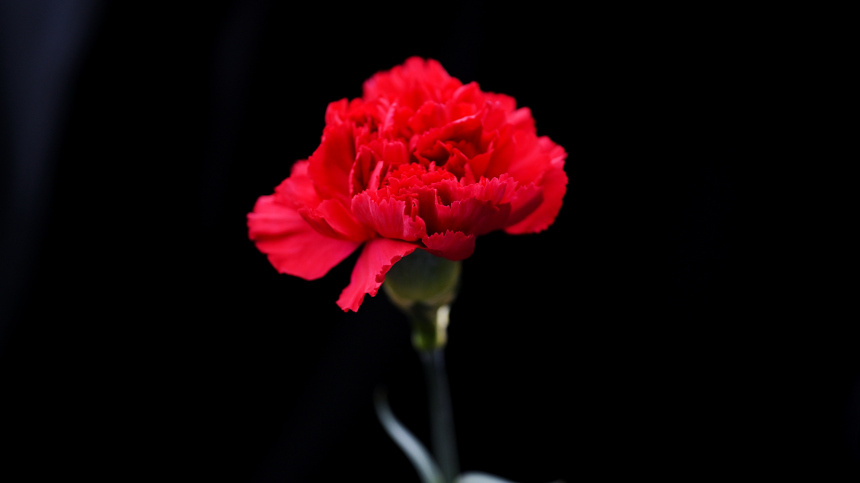    Фото: © РИА Новости