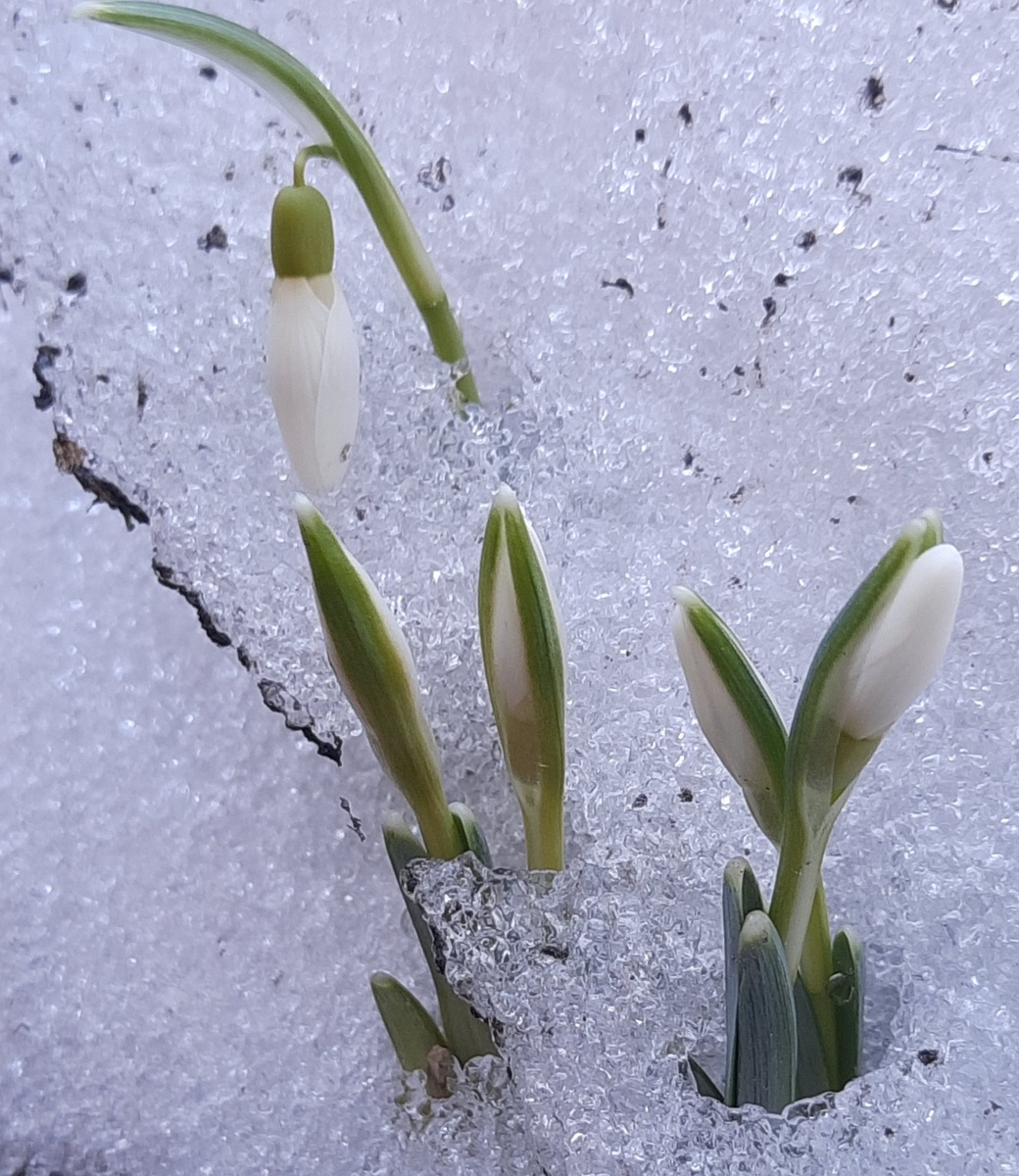 28 марта 2024 г 