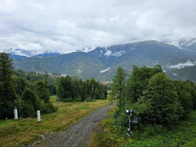     Фото: МК в Сочи