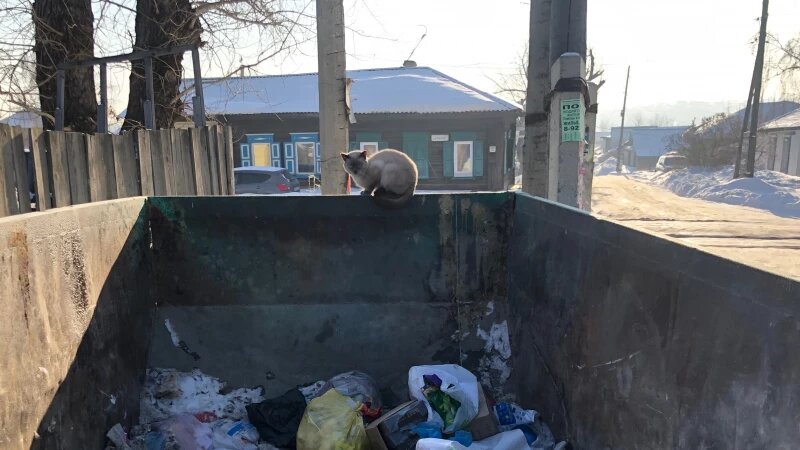     Сторож у мусора. Aktapress.r