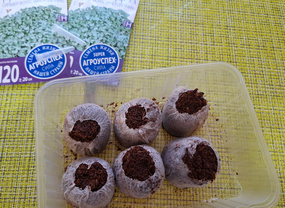 Надеюсь, что все взойдут.