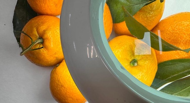    Фото: ФГБУ ЦОК АПК