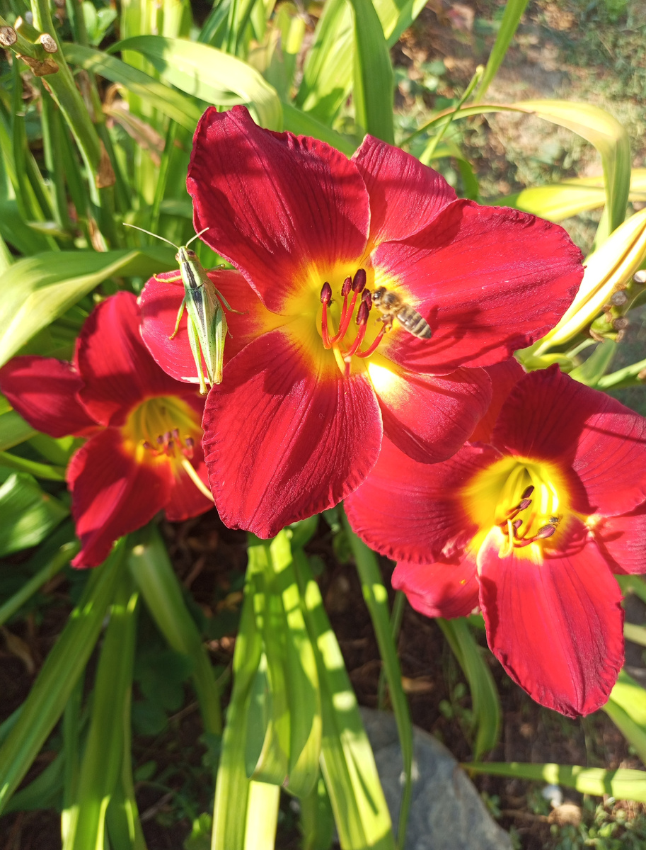 Фото автора.