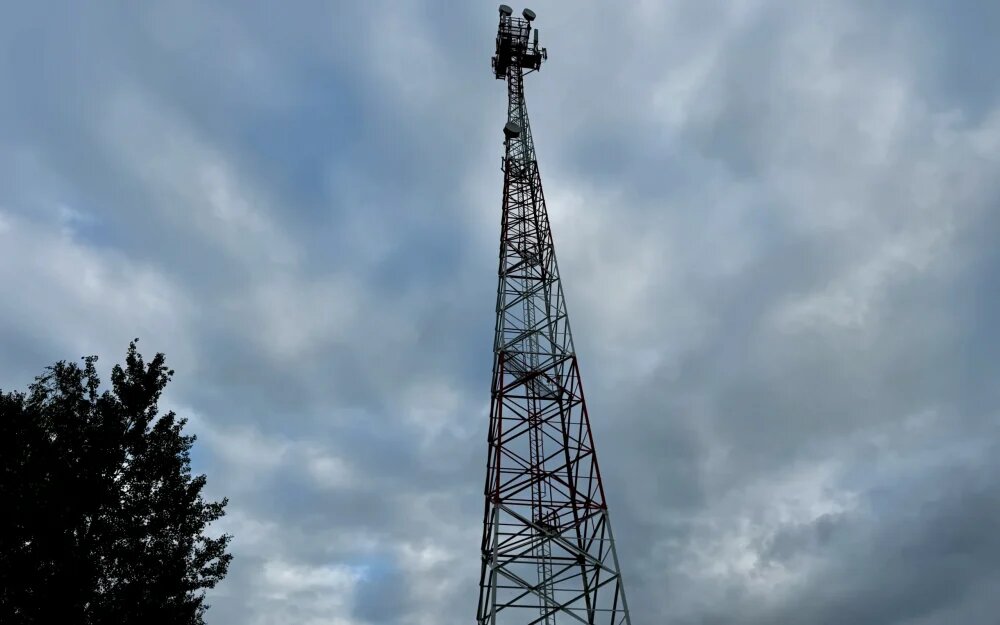    Фото: "Брянские новости"