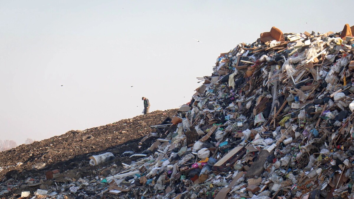    Мещанский суд Москвы отправил в СИЗО трёх волгоградских чиновников из экоблока   1MI