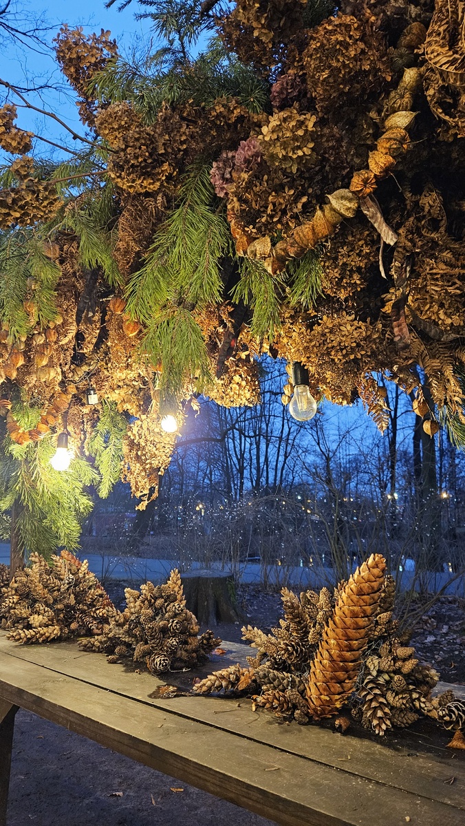 Елагин остров (фотография автора)