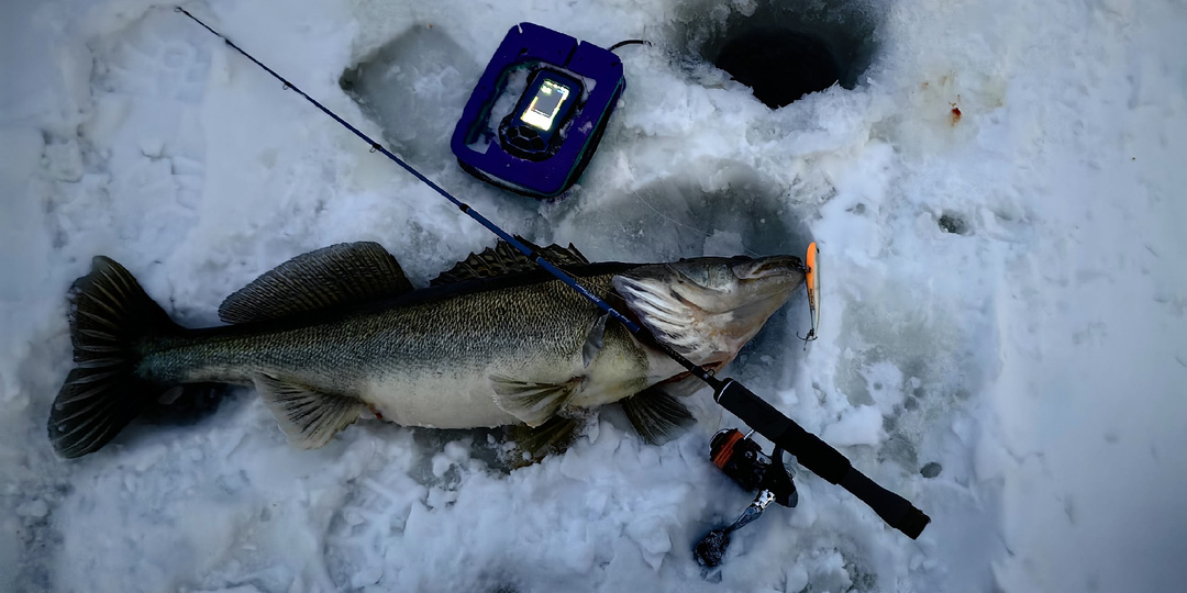 Зимняя рыбалка: время новых рекордов и незабываемых эмоций с удочками Long Hand!