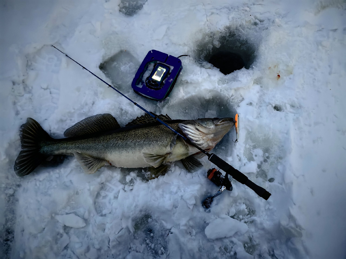 фото: Сергей Эгоист