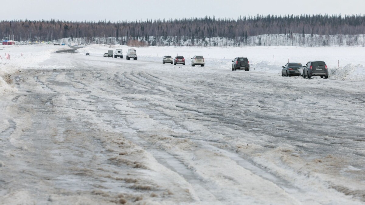    Фото: Юлия Чудинова / «Ямал-Медиа»
