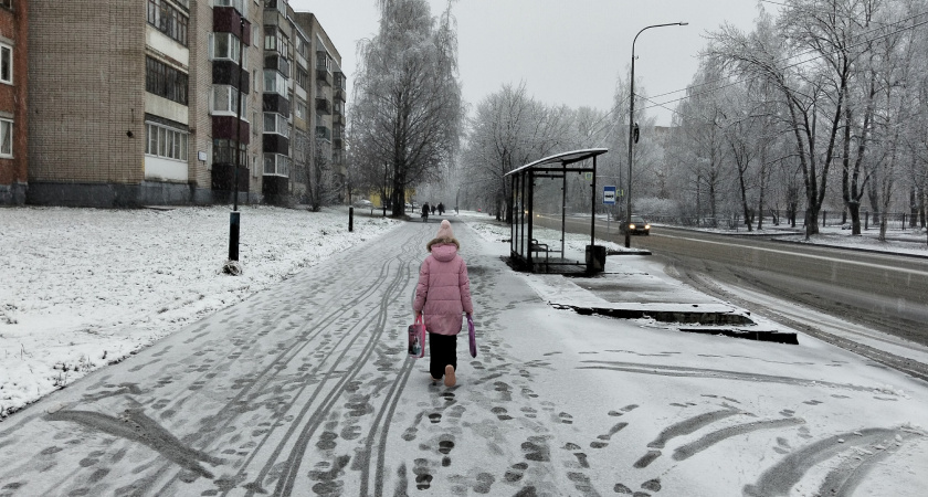    Фото prochepetsk.ru