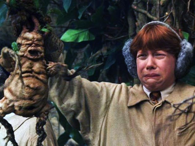 Мандрагора не кричит. Она делает кое-что пострашнее