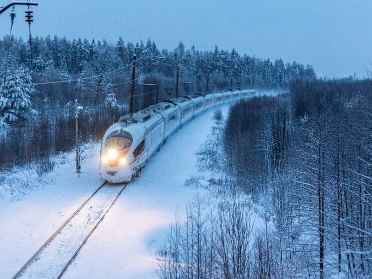     Мера принята из-за повышенного спроса на билеты в период новогодних каникул. Фото: пресс-служба РЖД.